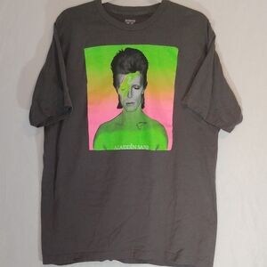 Aladdin Sane Graphic Tee‎ in Gray